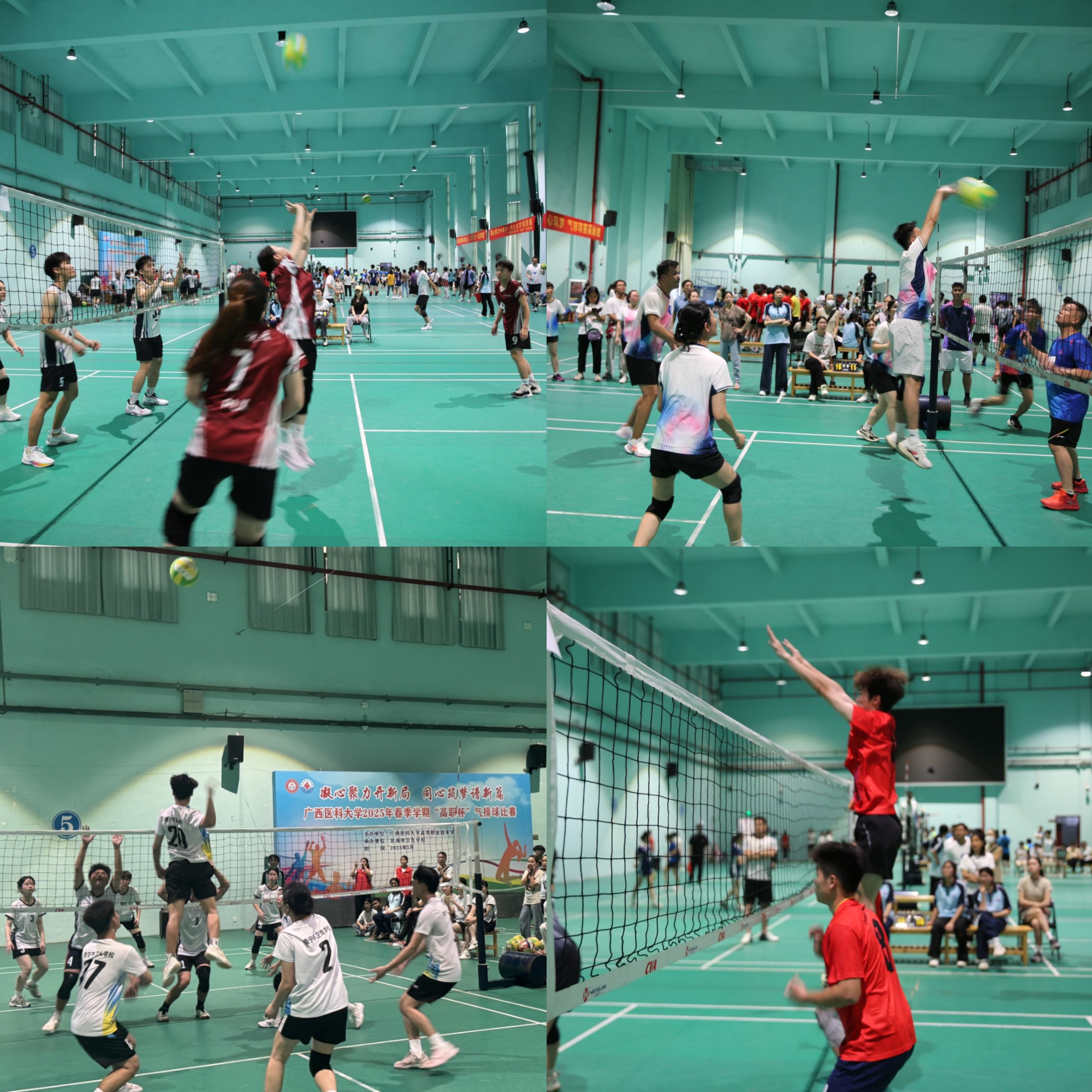 英国上市公司365